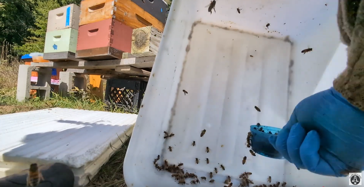 If You Treat Everybody and Monitor Nobody, You’re Getting Nowhere